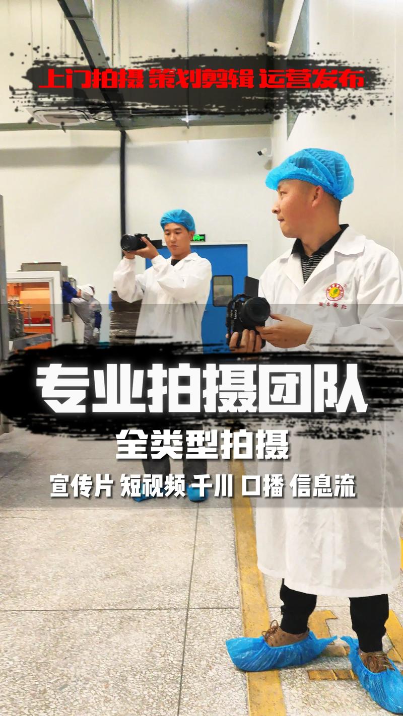 品牌营销策划
